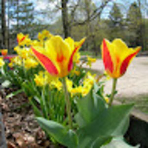 Meet your Posher, Ruth